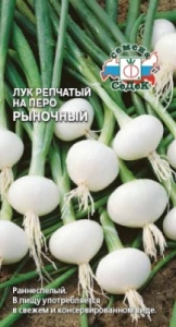 59550
