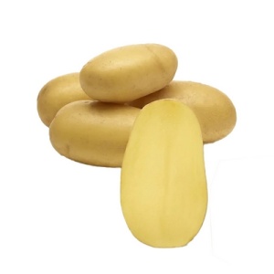 3396