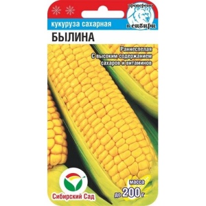 56810