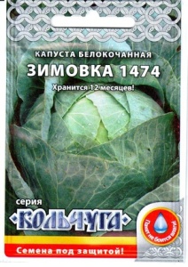 55382