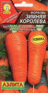 53801