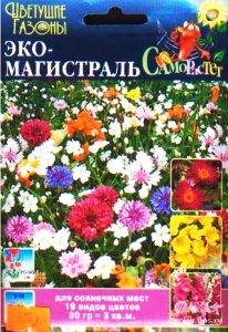 55034