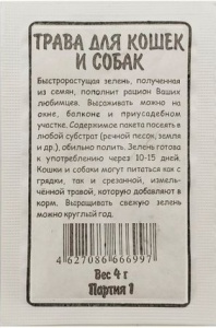 58802