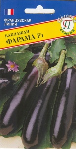 53196
