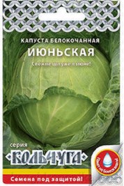 54536