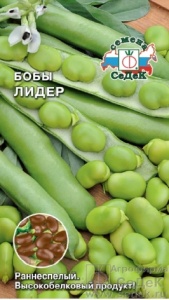 58625