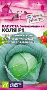 54666