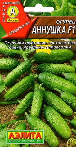 51113