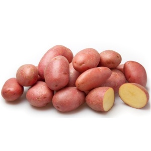 58746