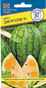 53051