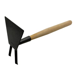 5620