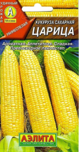 56623