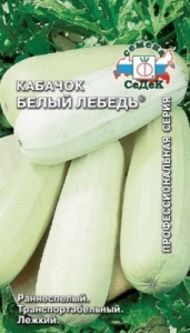 55529