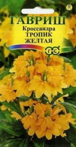 53757