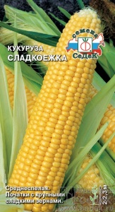 55544