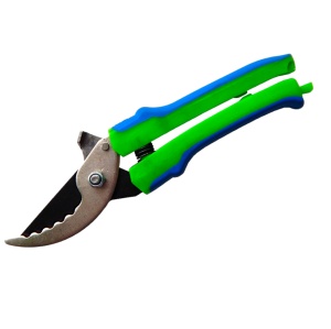 28666