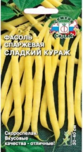 55616