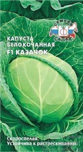 57886