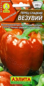 52589